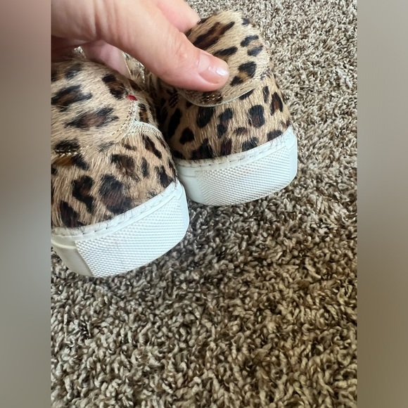 Del Toro - Picture 2 of 6